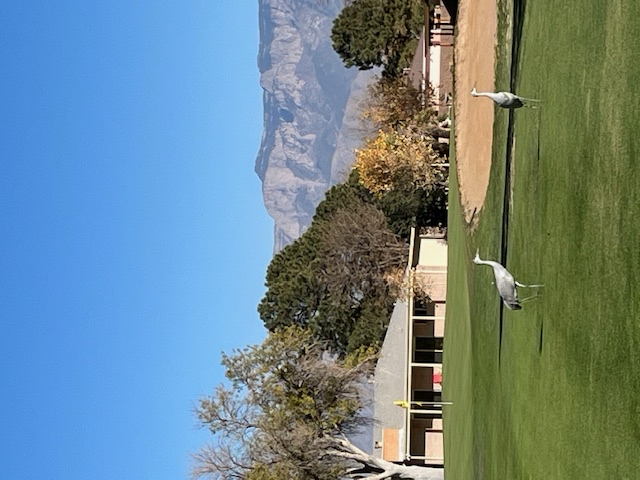 GolfCrane
